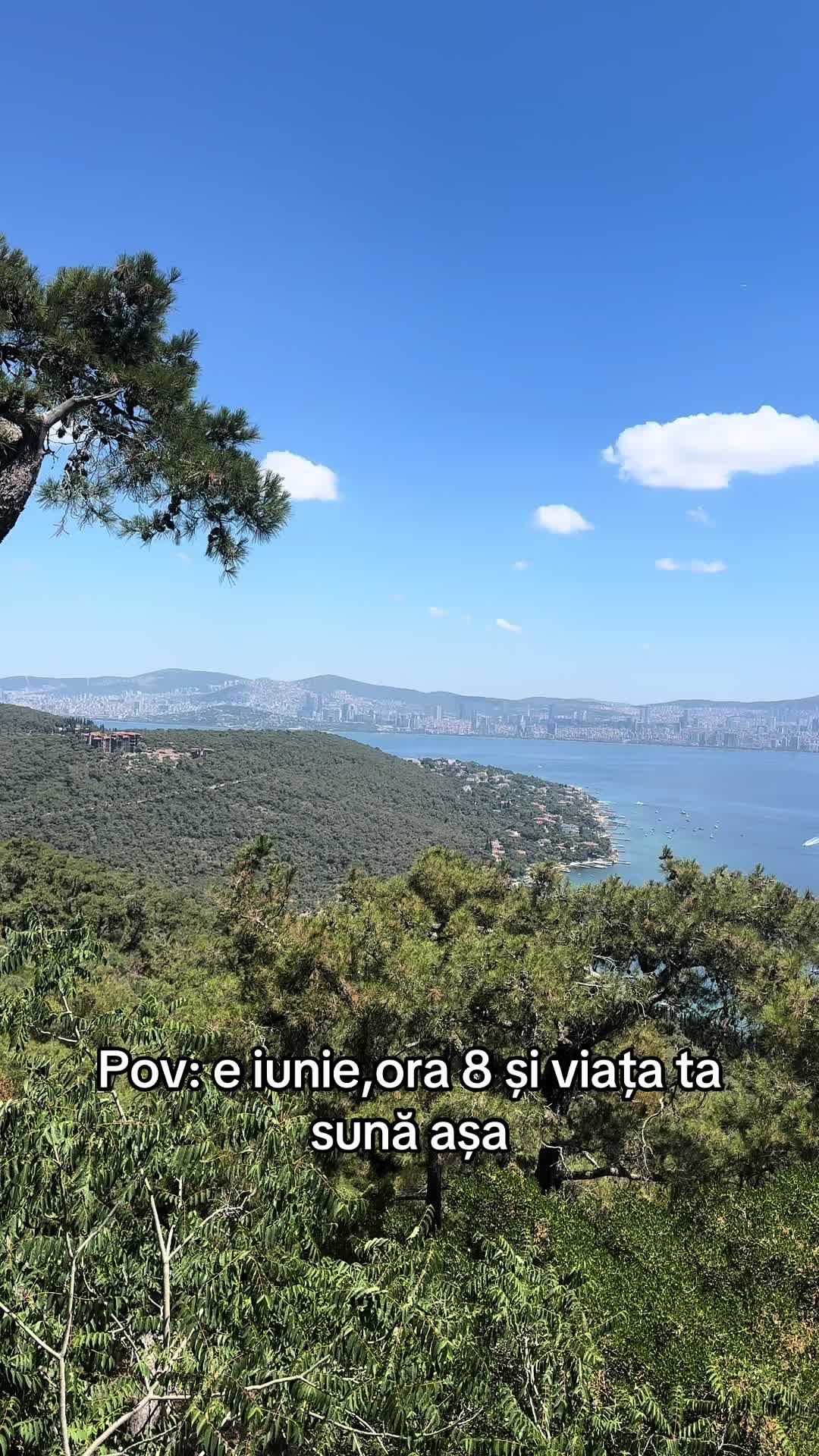 @ghetubianca