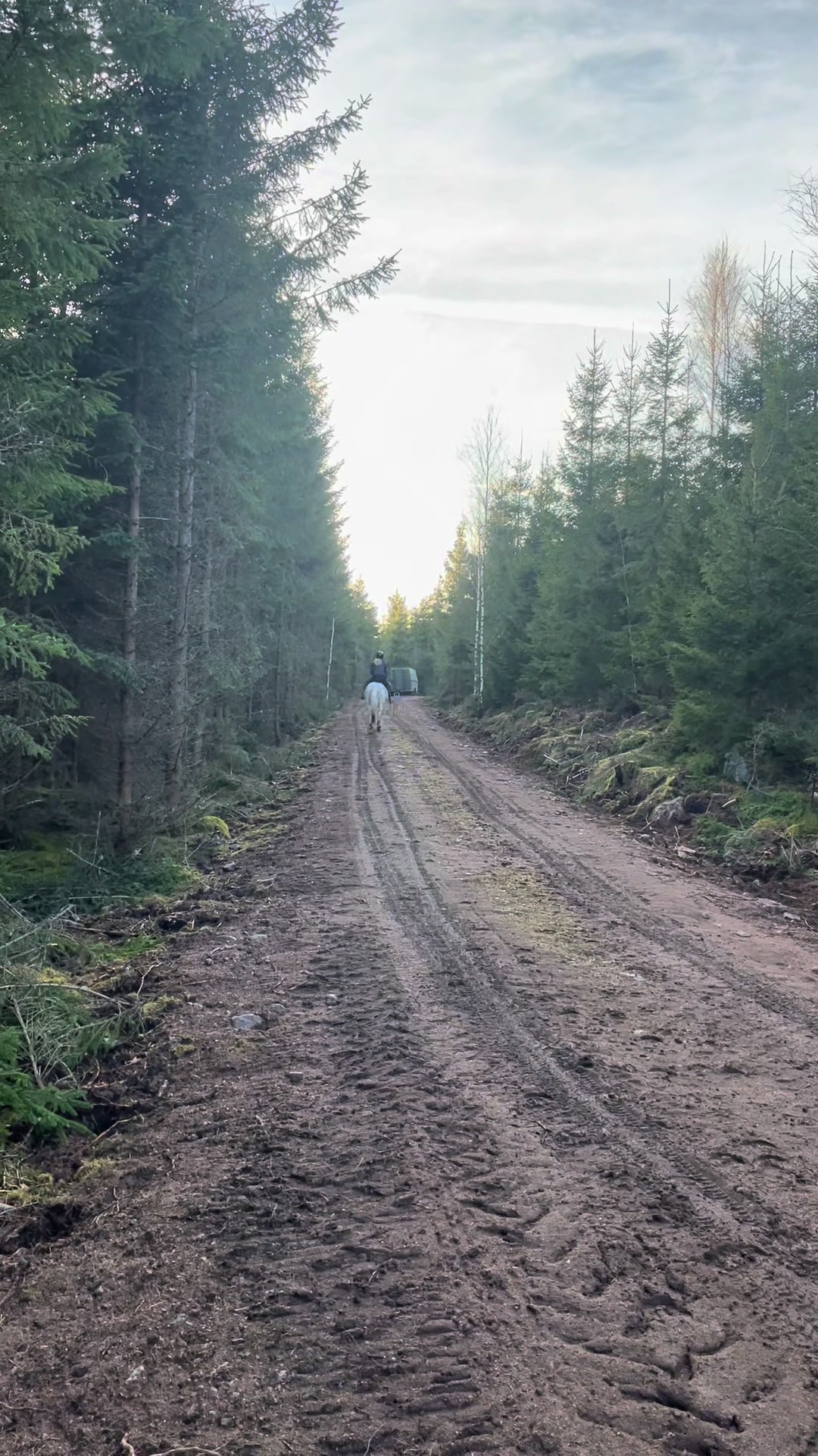 @Ella Karlsson