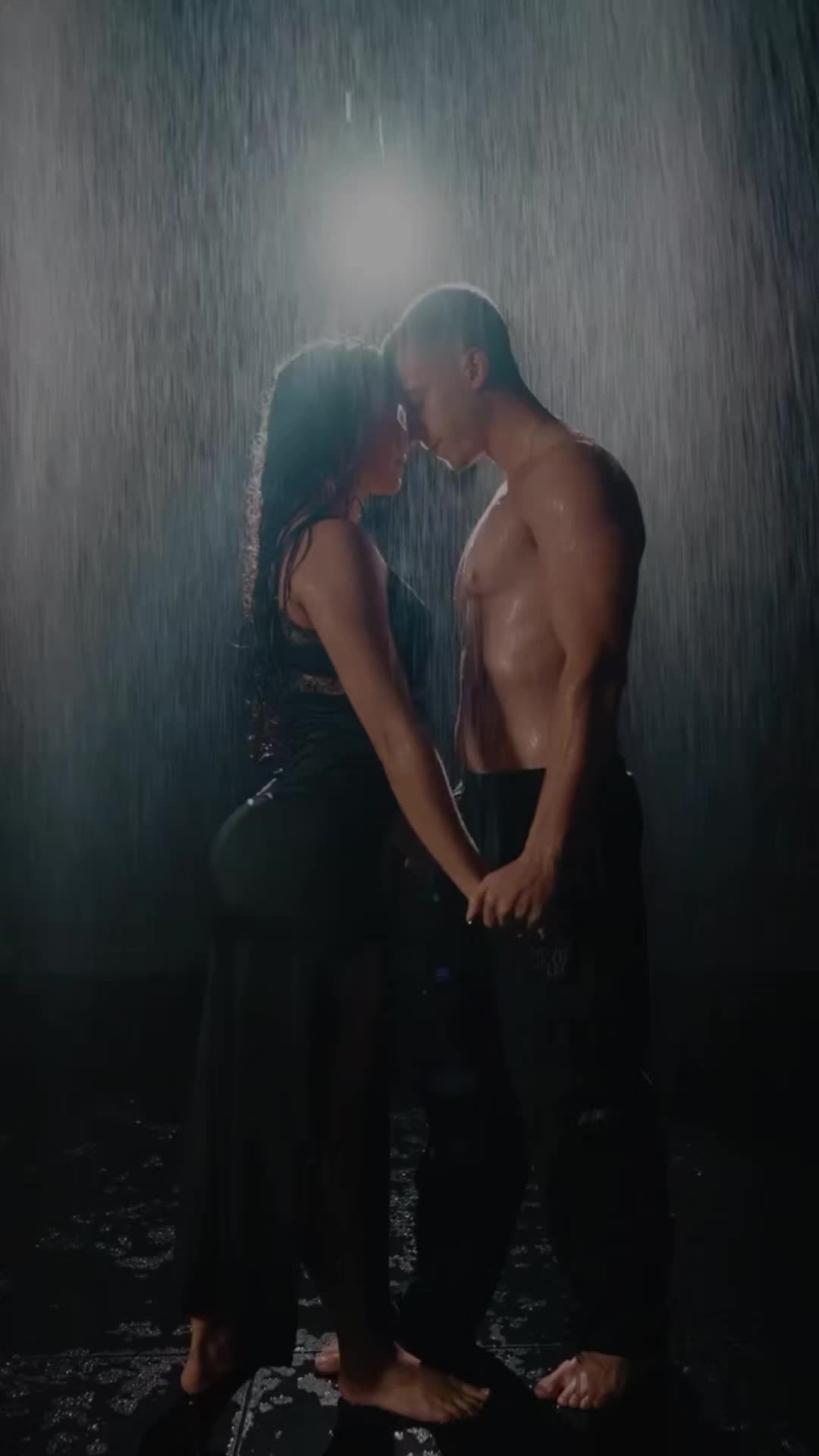 @kočka divoká
