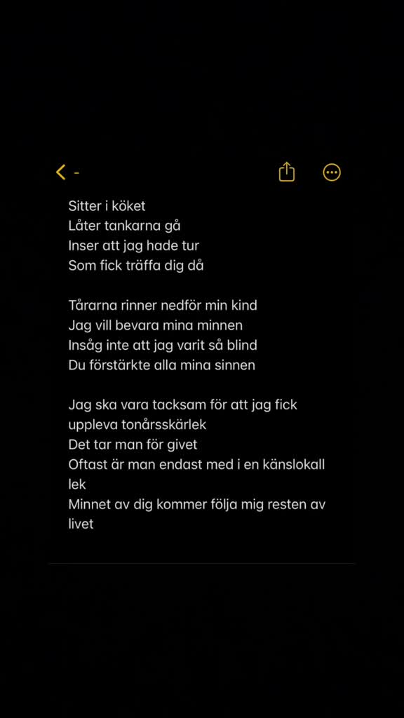 @alltsomjagvills&auml;ga