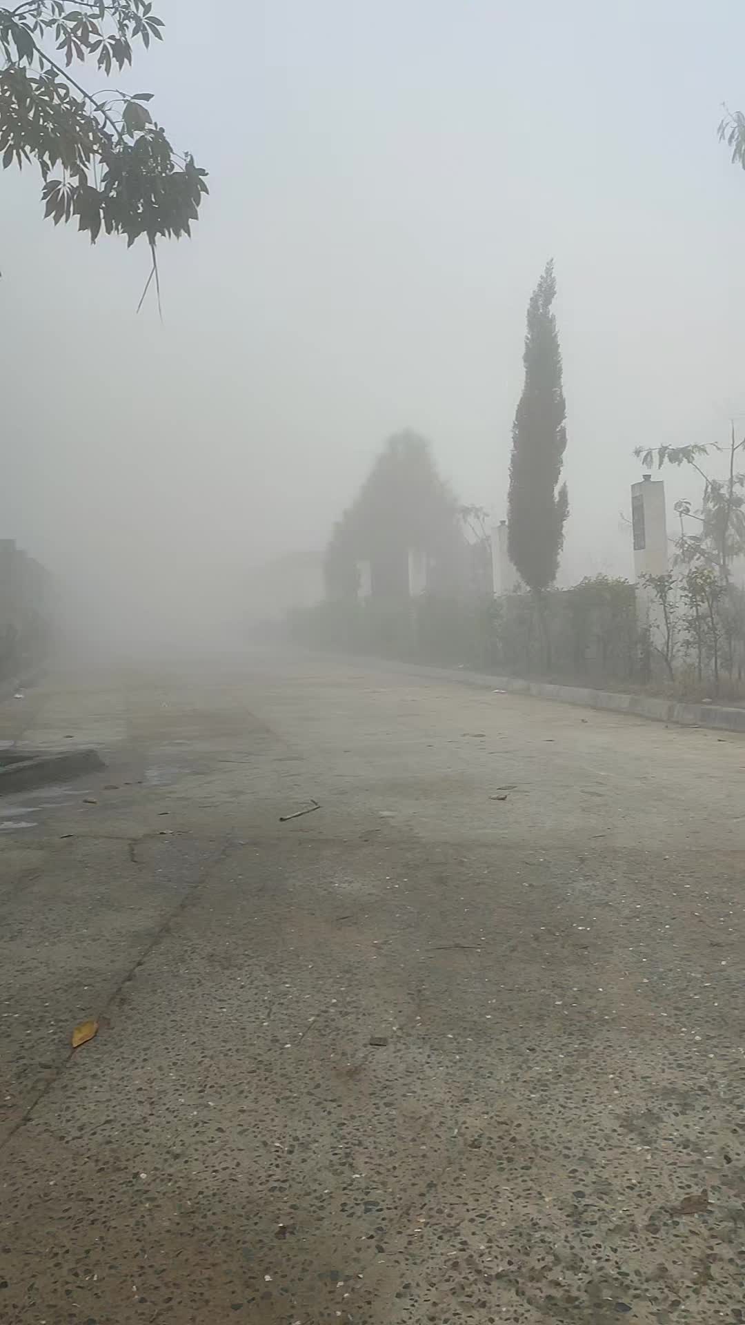 @kaliwala jenai