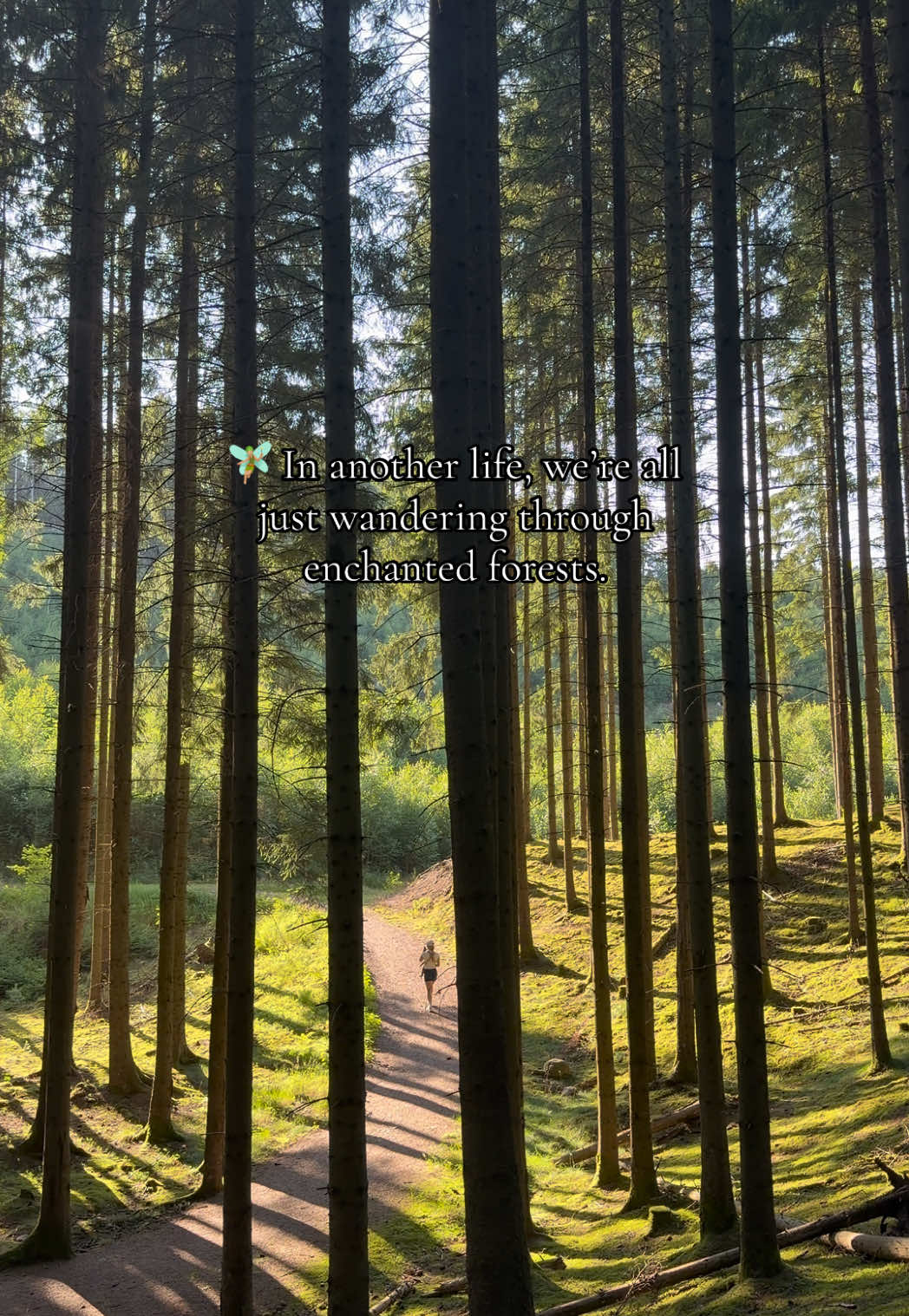 @Söderberg