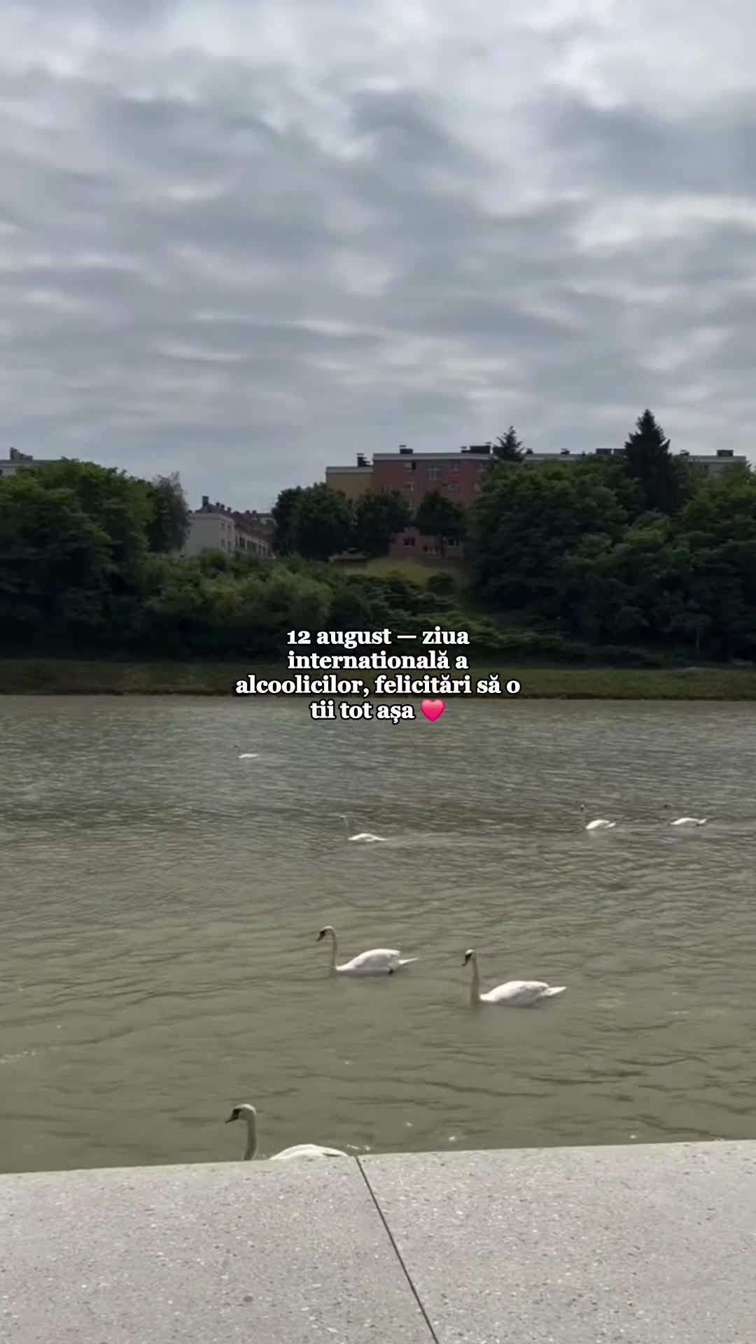 @Crișan Bogdan