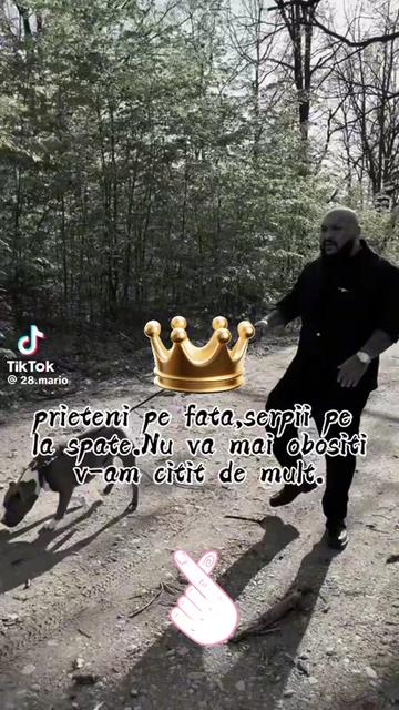 @Leo King