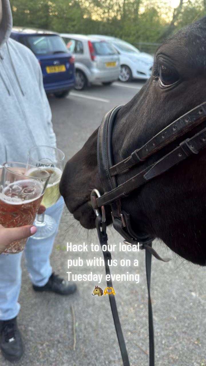 @Charlotte.Equestrian