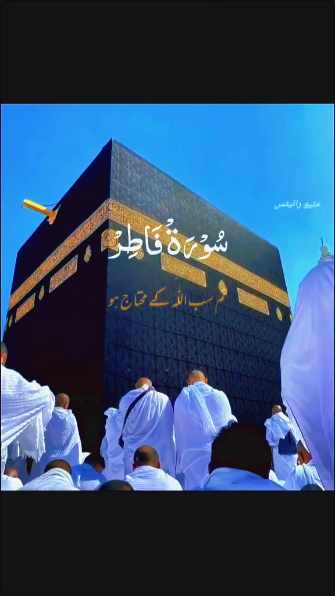 @amaan1949