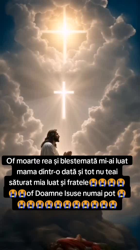 @Flory Ionescu
