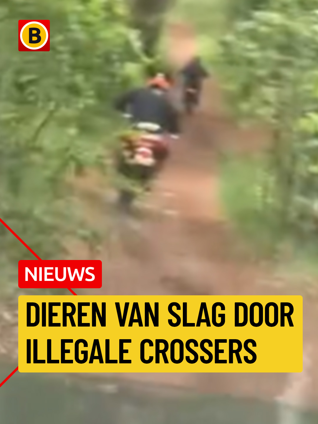 @Omroep Brabant