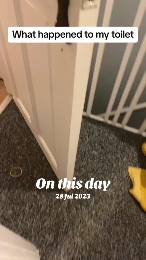 @Teddy26