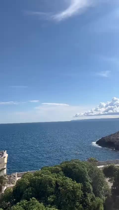 @ilpadrinoIII
