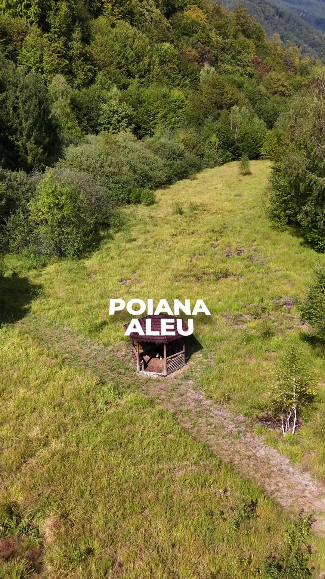 @Poiana Aleu