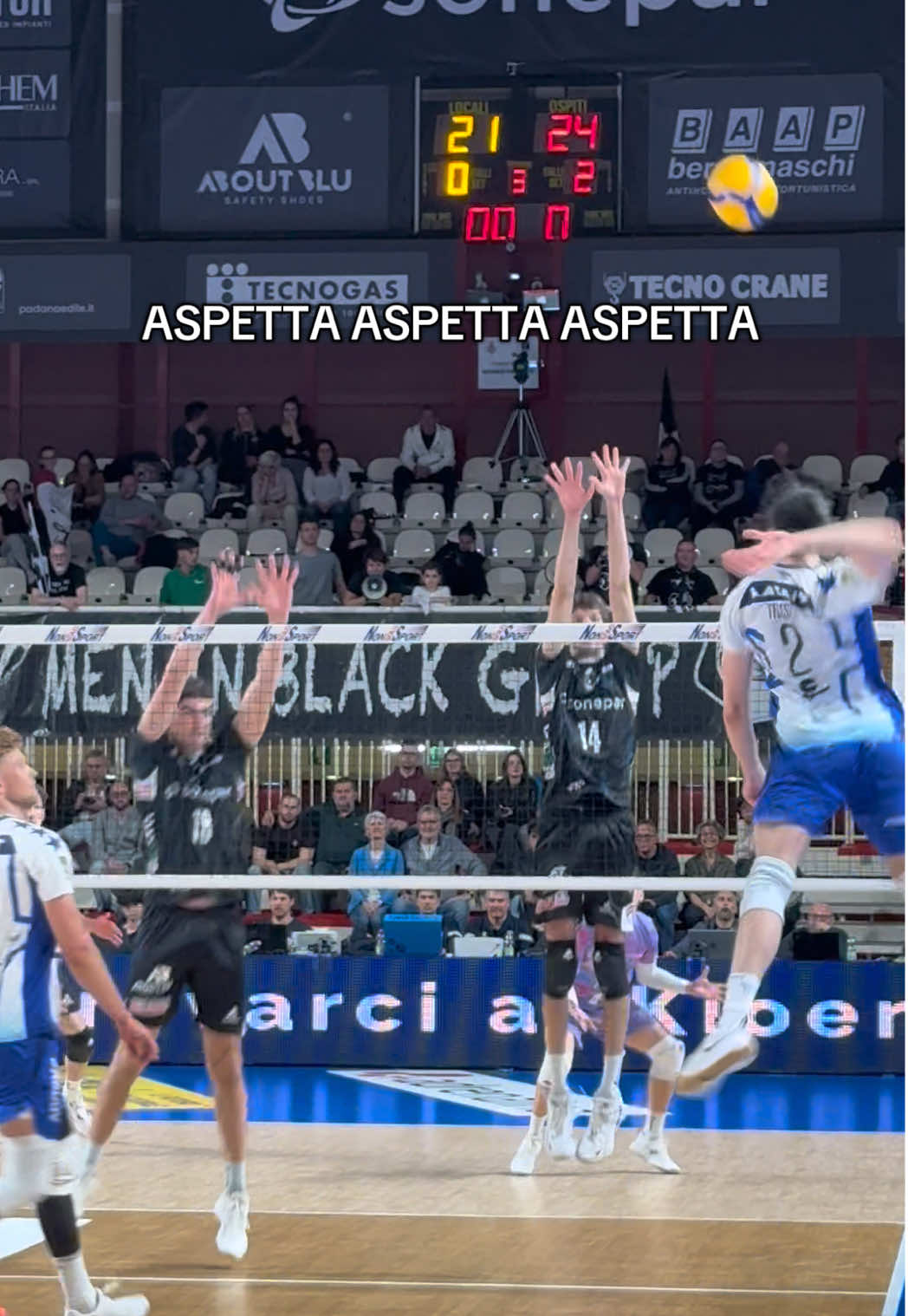 @Vero Volley