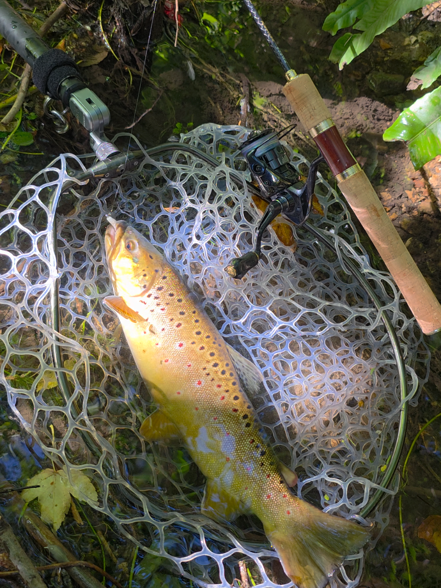 @BF Angler