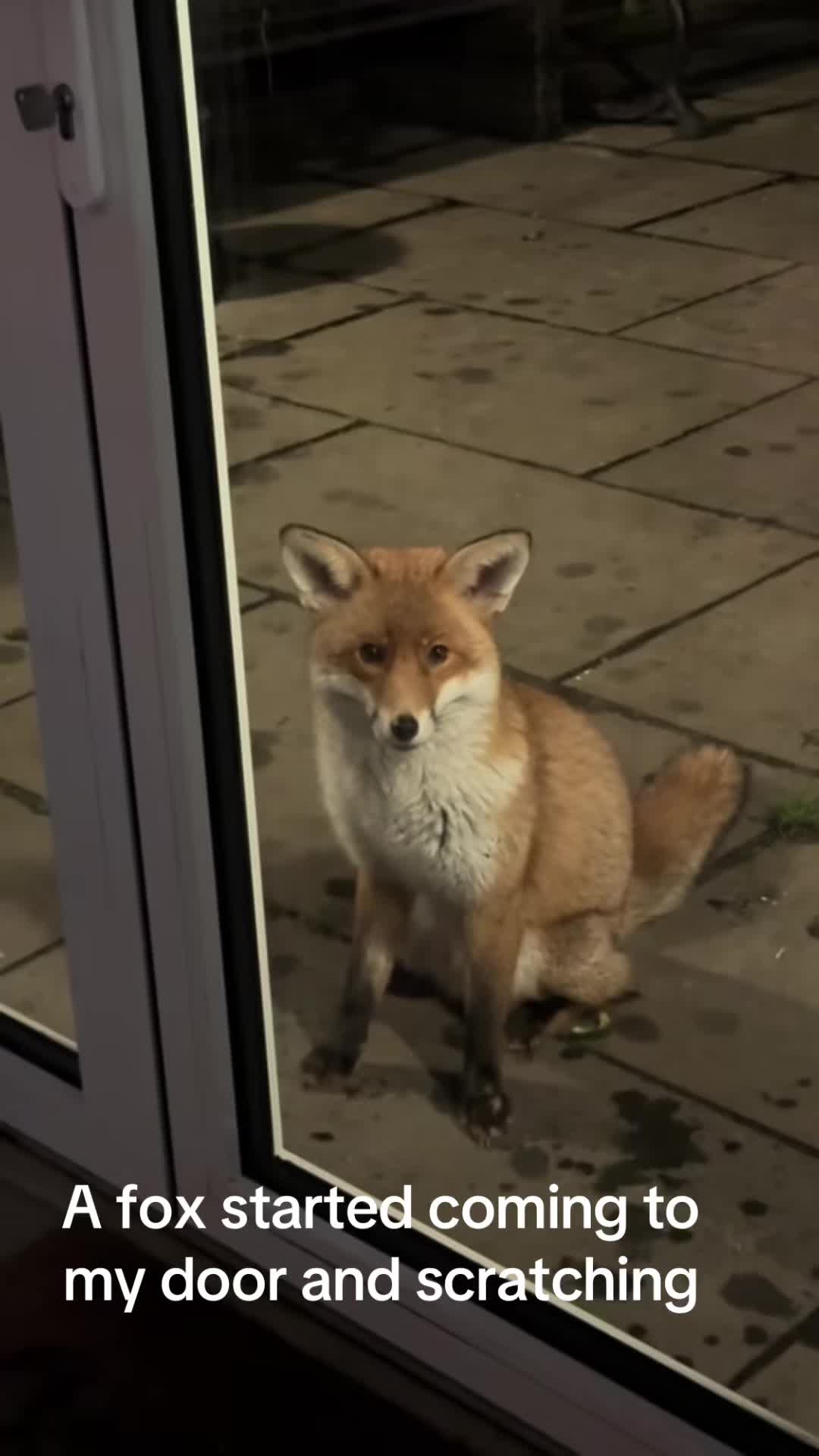 @gp_wildlife