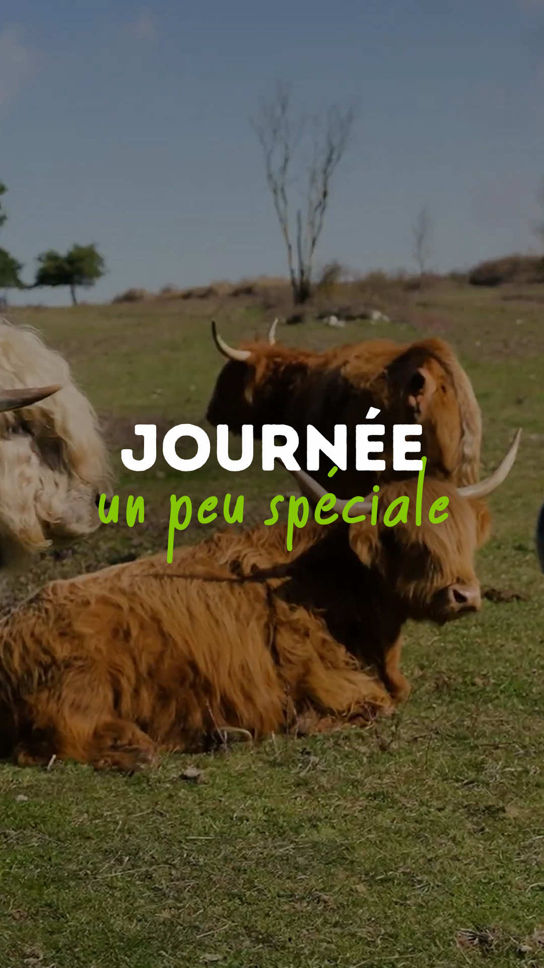 @Goran Le Permaculteur