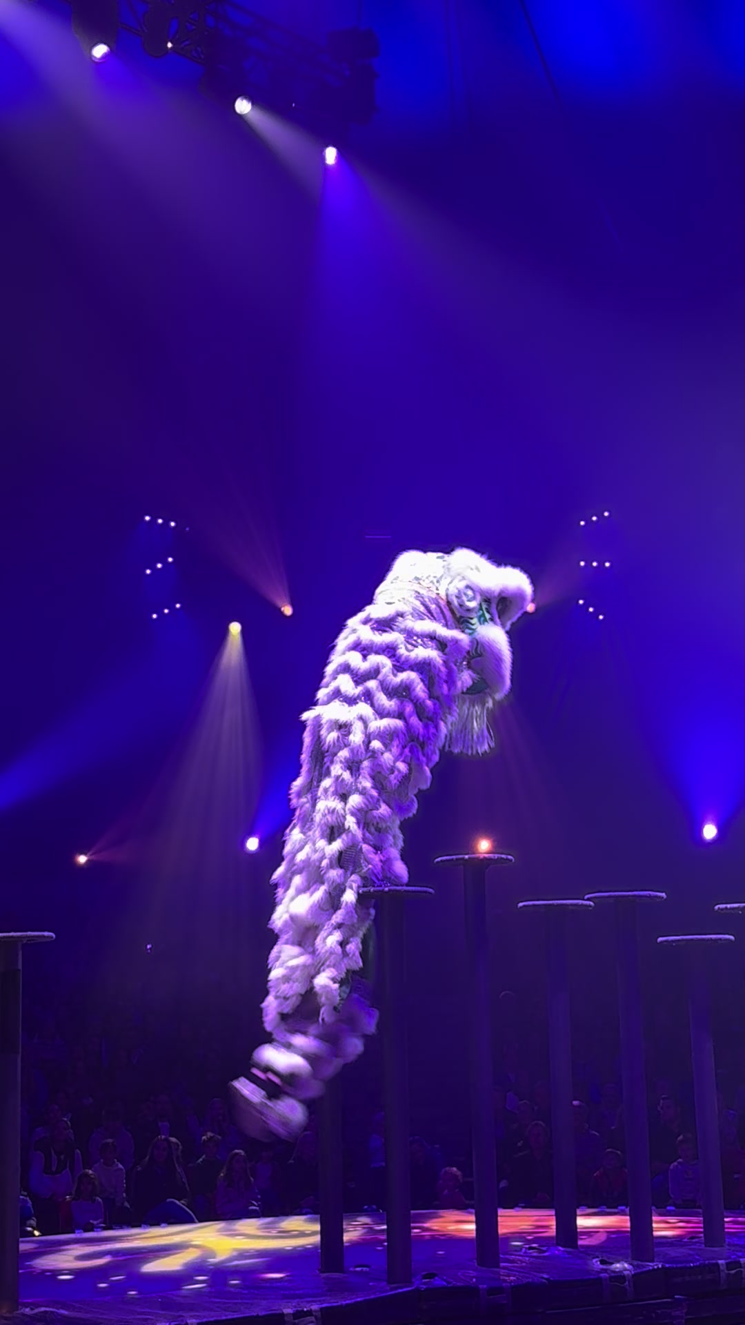 @𝕹𝖆𝖏𝖆𝖍 𝖅𝖍𝖆𝖗 🇨🇭