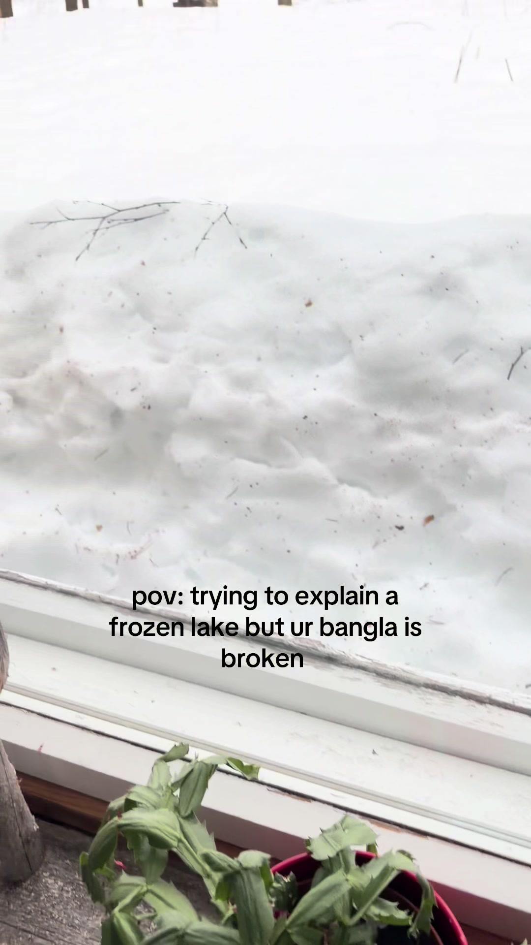 @anika.belle 🤍