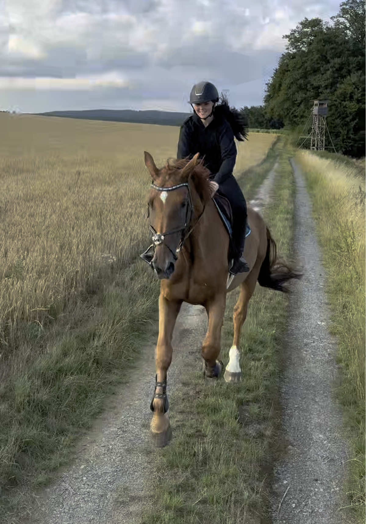 @annalisa.equestrian
