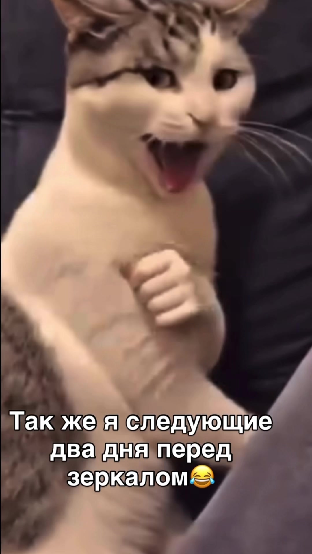 @Aragorn