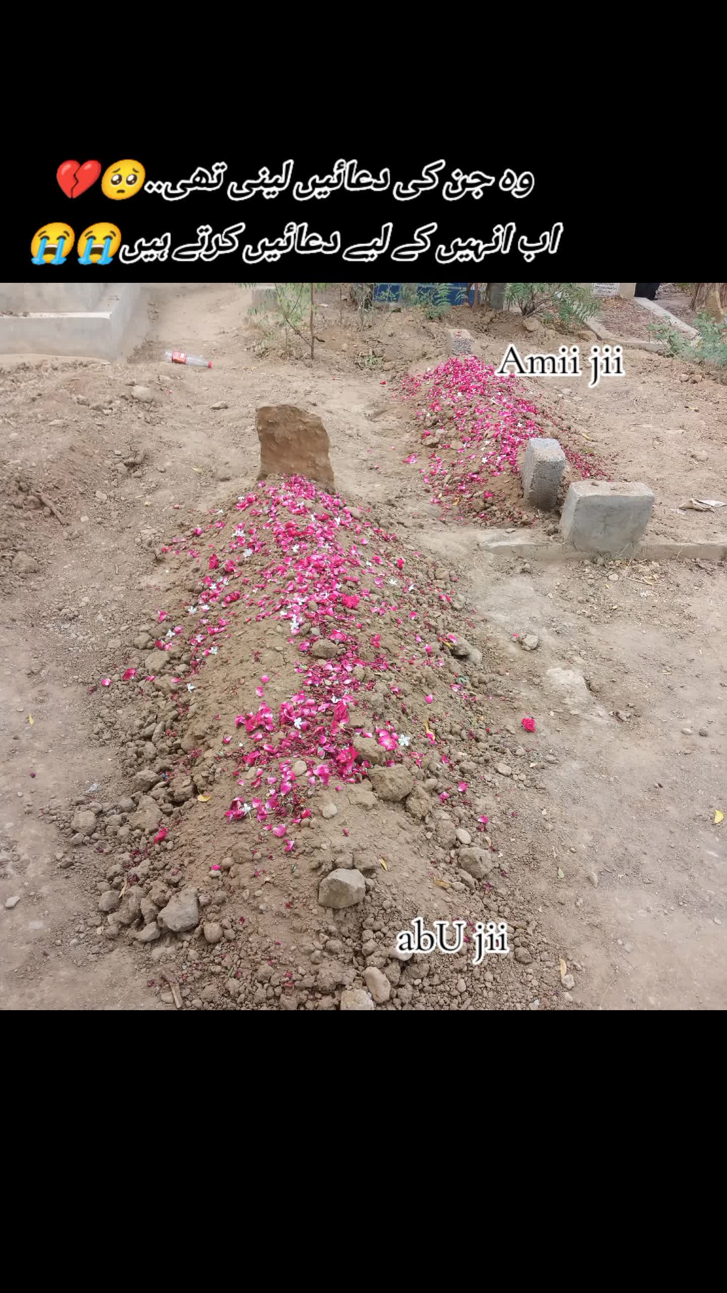 @Ikhlaq Ahmed