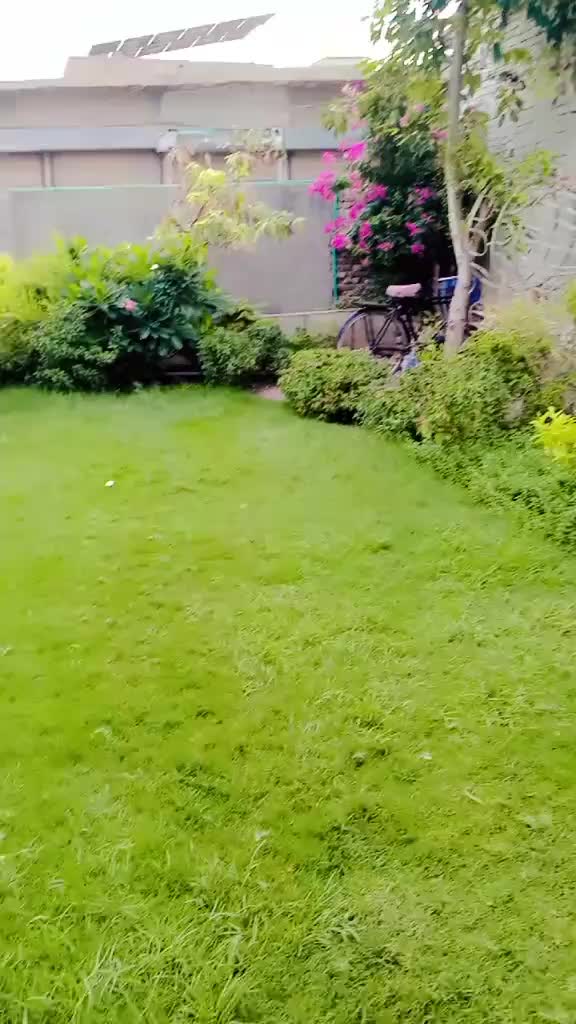 @Hina Khan
