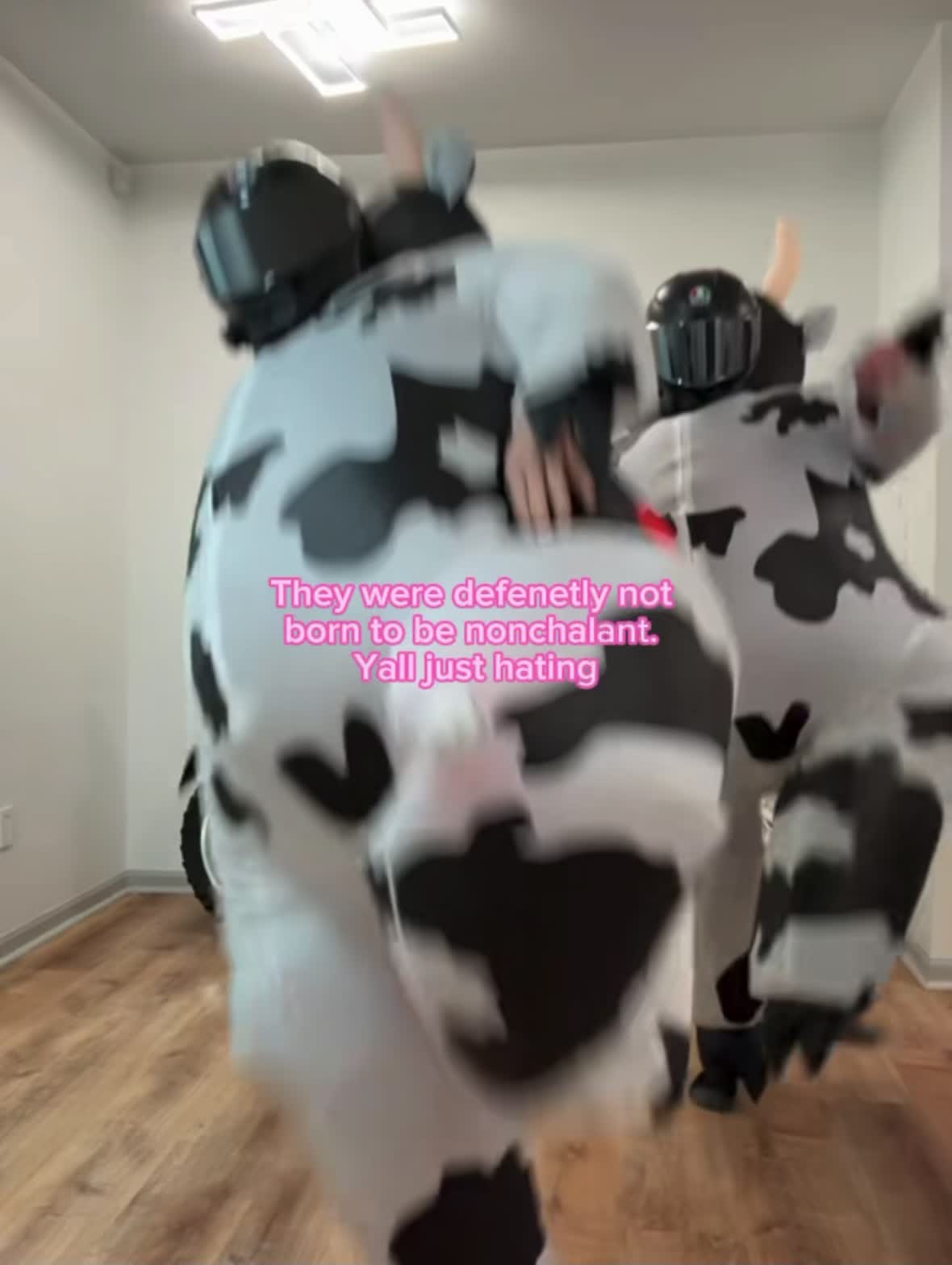 @đđđĽđĽđđ