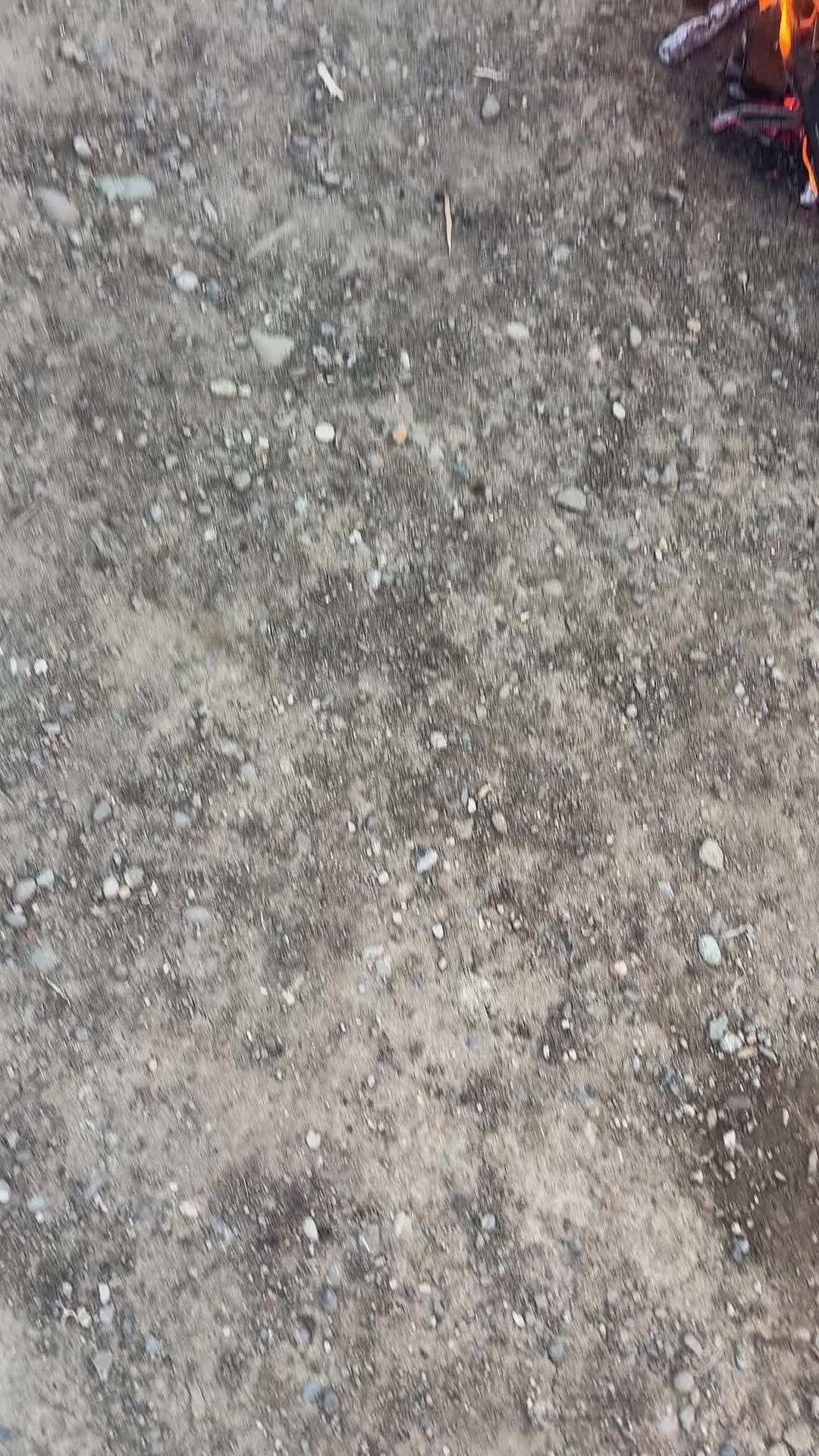 @burlacuuu