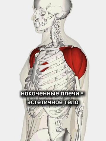 @тгк: timmylife