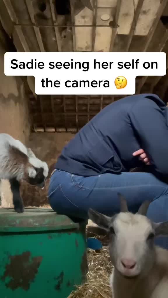 @Sadiethekid