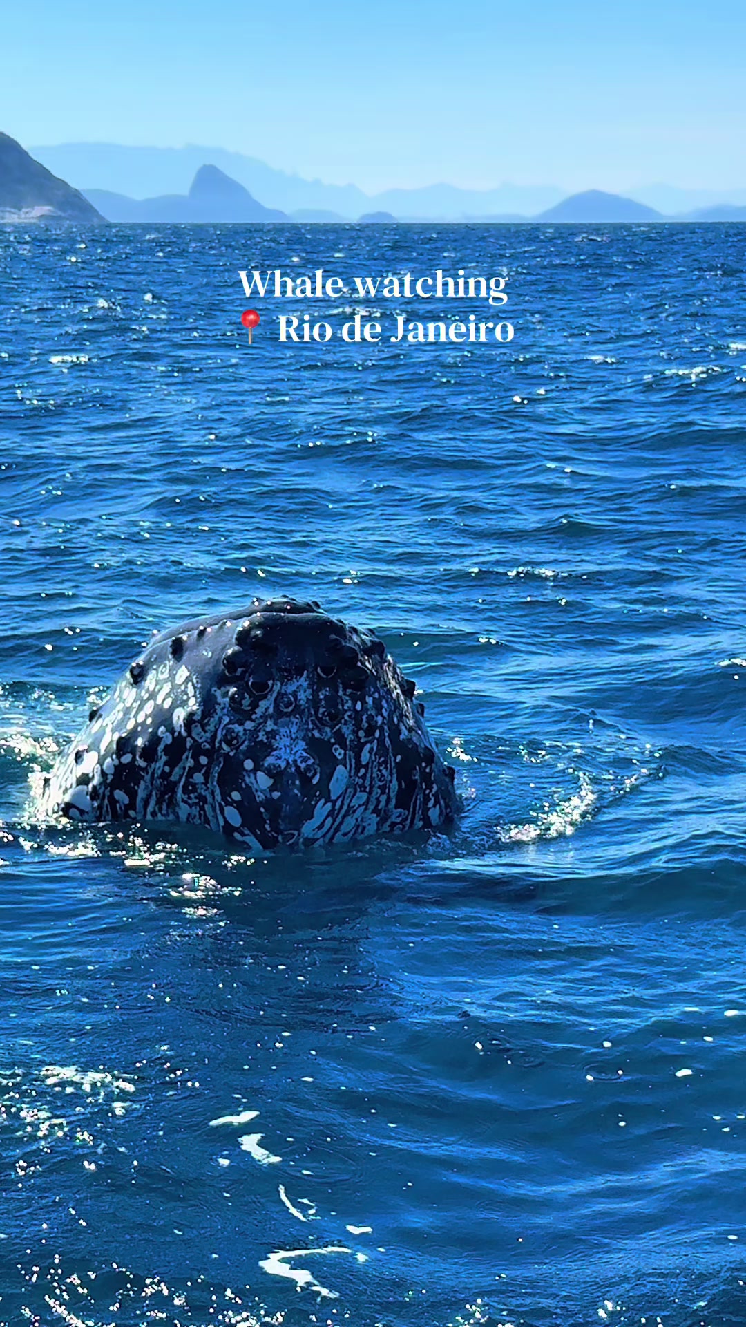 @A&J | LatAm Travel 🌎