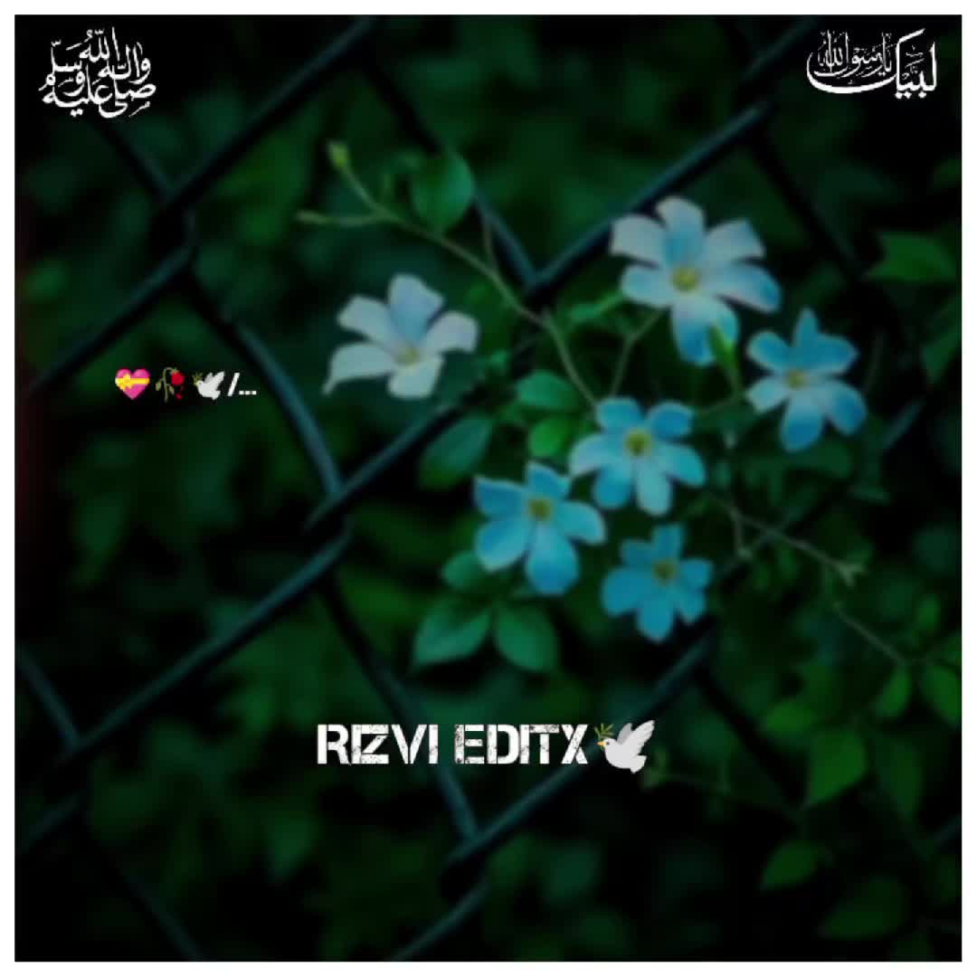 @Rizvi editx 🕊️