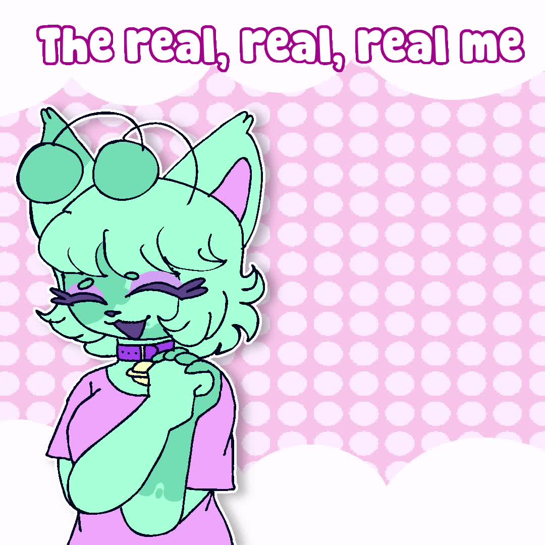 @Paw/Pocket