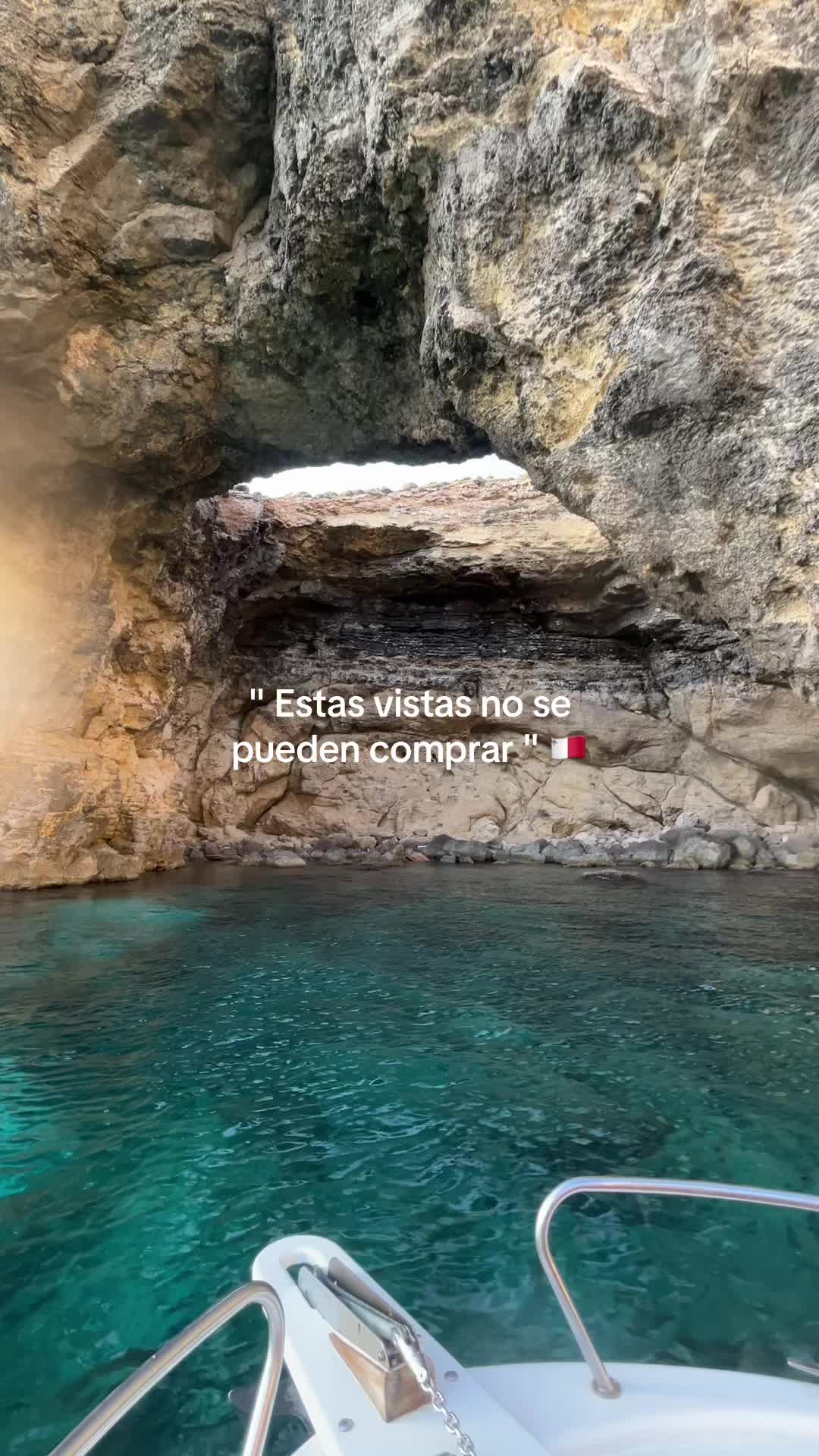 @albabustoos🐾