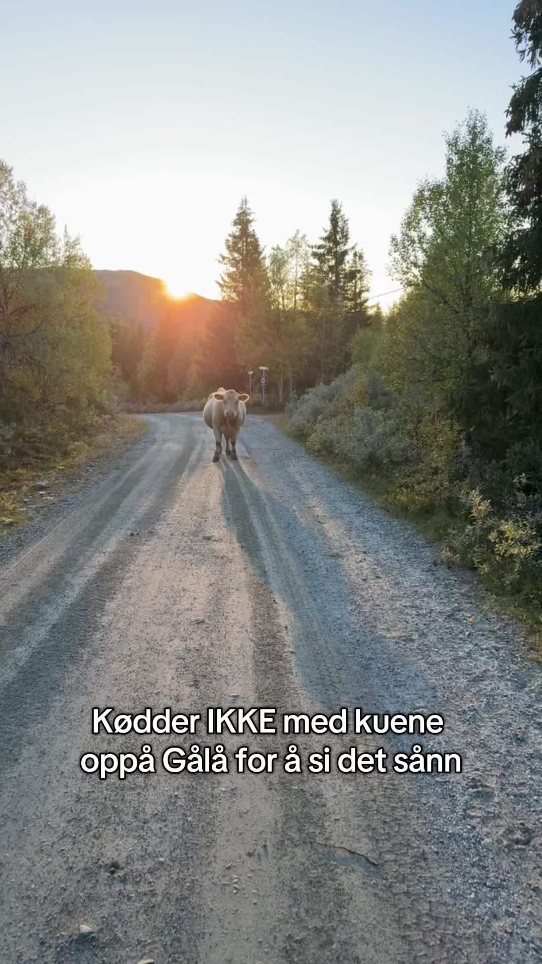 @Stian Thorbj&oslash;rnsen