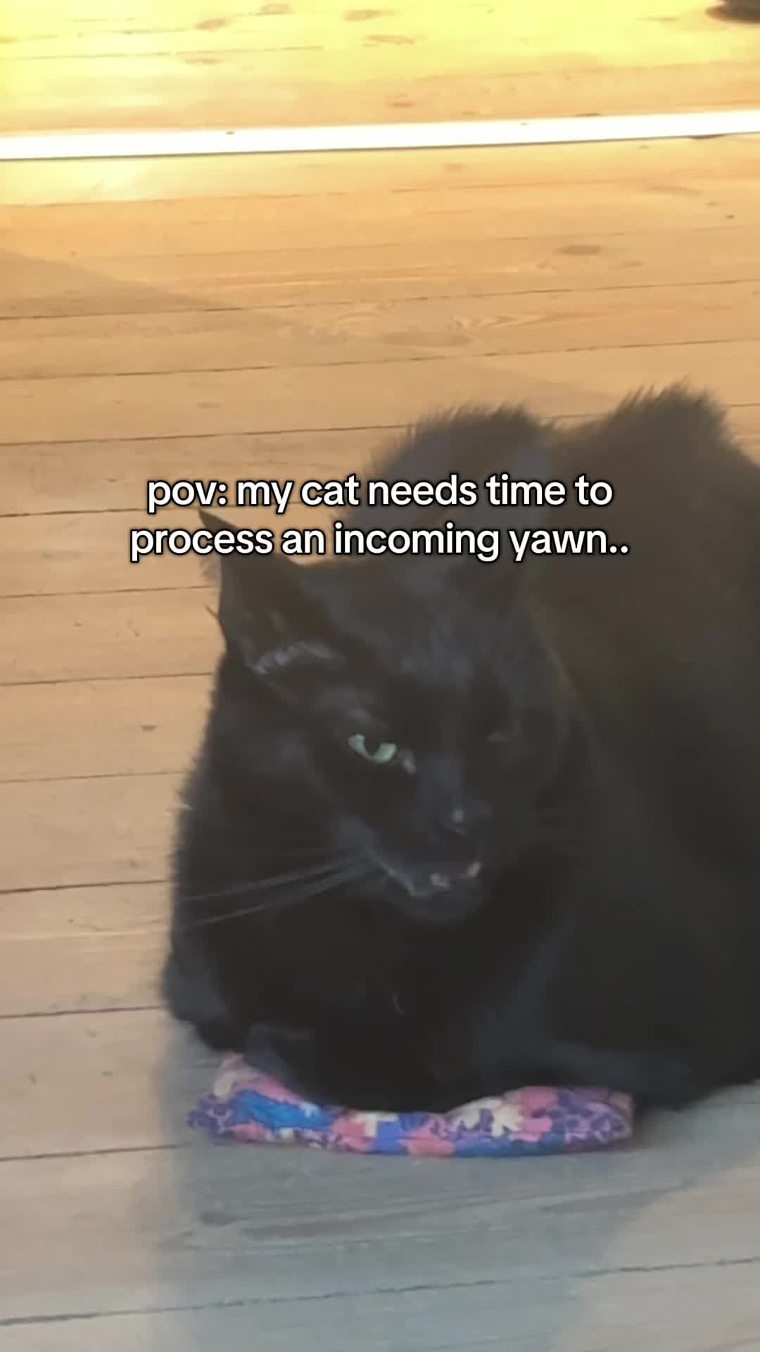 @Bissen the burnt loaf