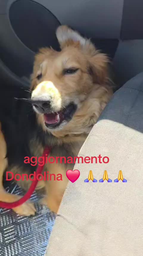 @Maria Rosaria Natill