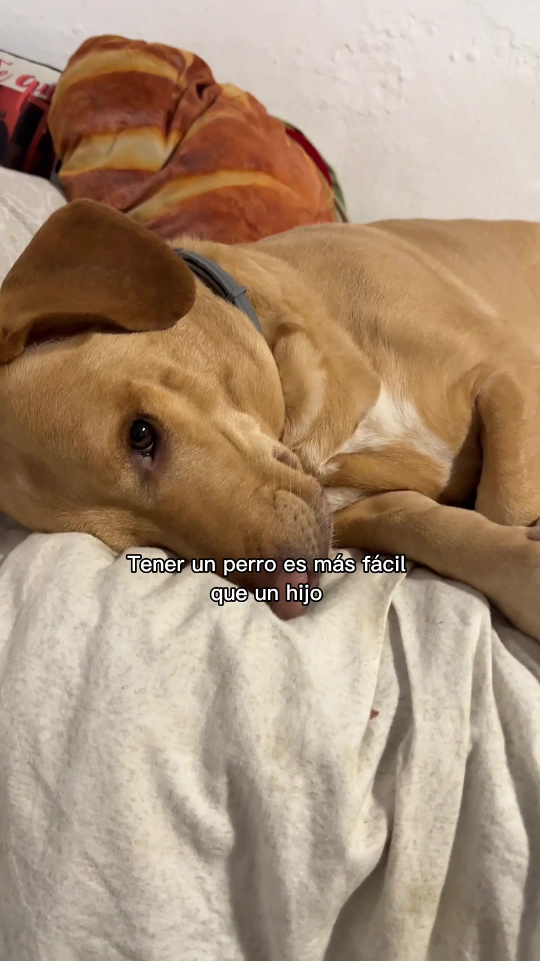 @Wan 🖤