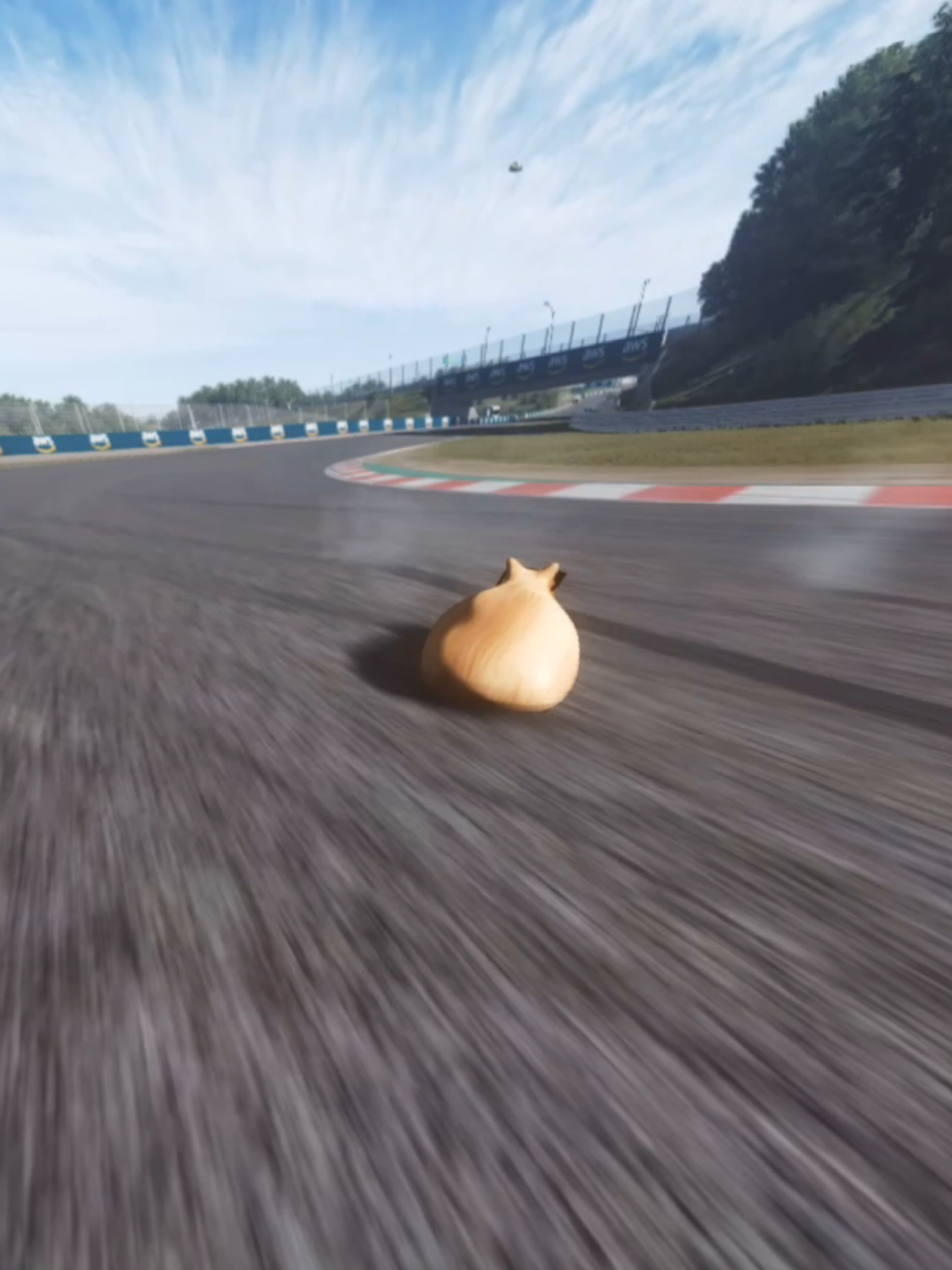 @Pablo the Race Cat