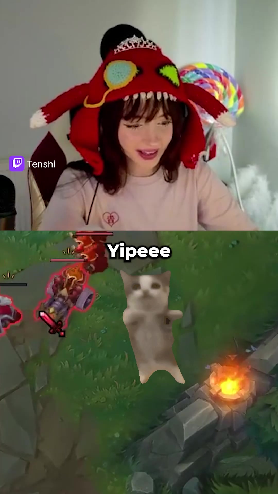 @Tenshi ➡️ twitch.tv/tenshi