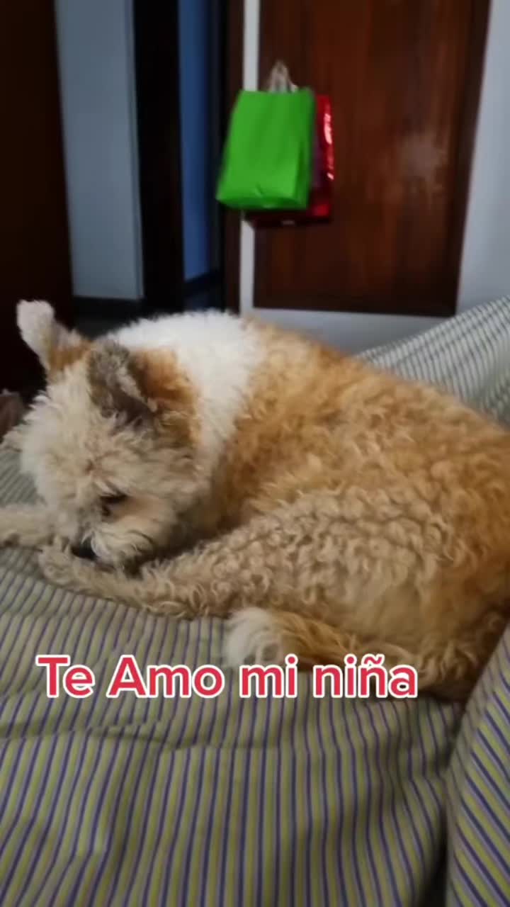 @Aroa