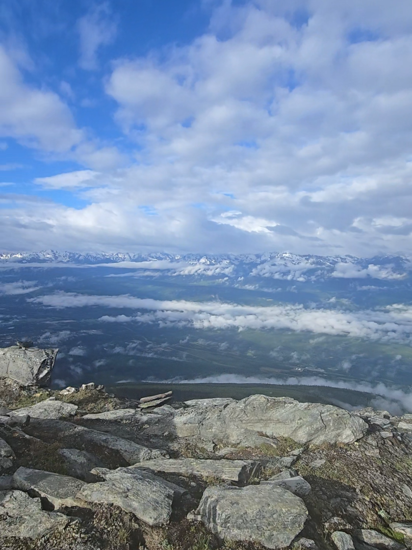 @Banff Trail Runing & Wildlife