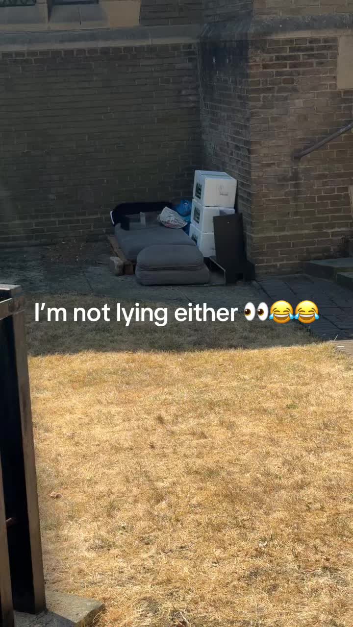 @pardypardz
