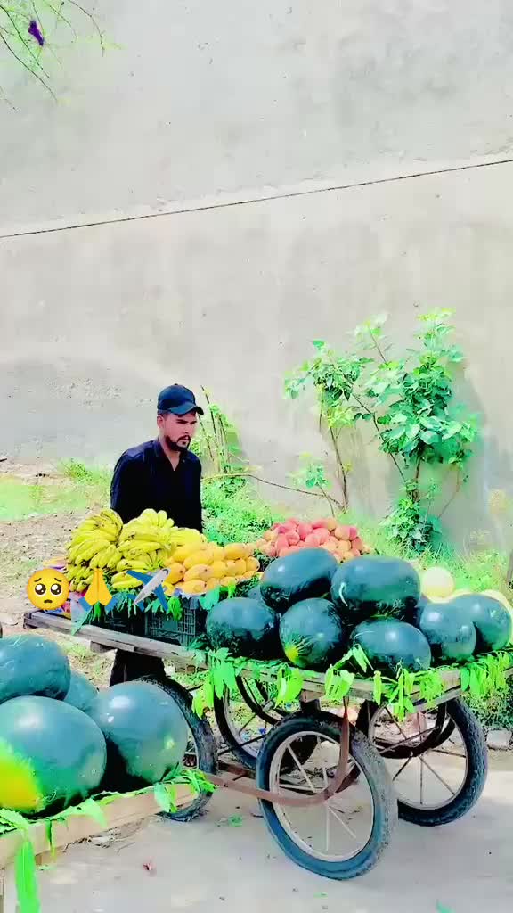 @Fruit Wala 🍎