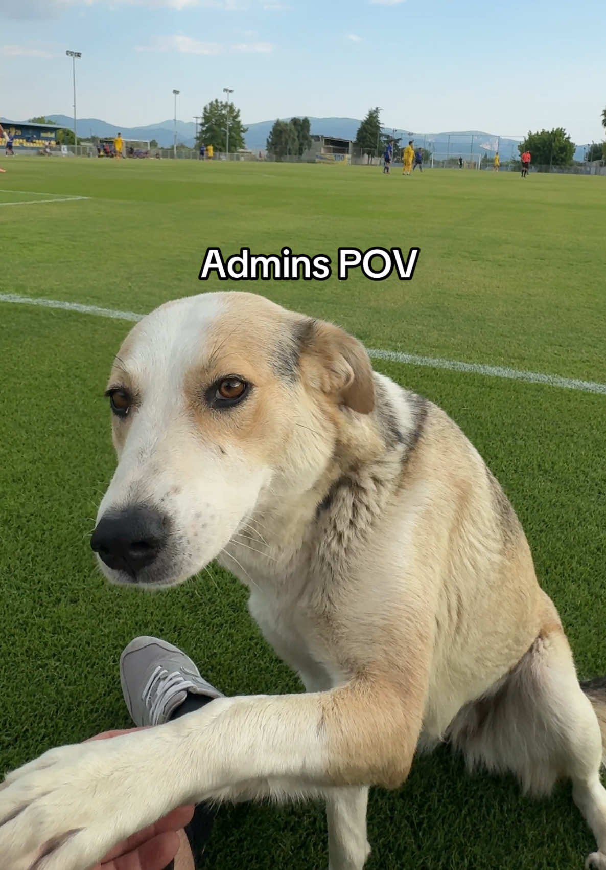 @Fokikos FC