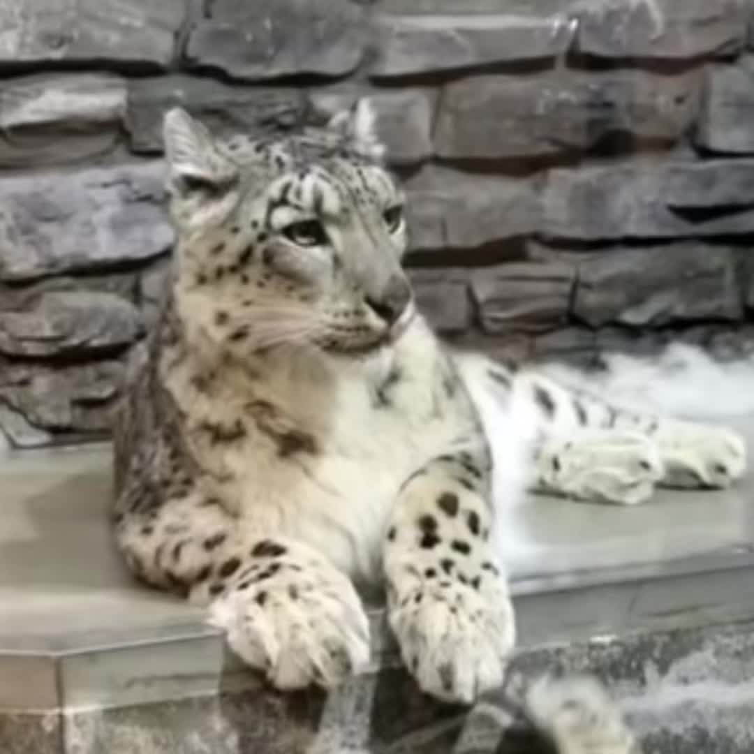 @JΛKΣ