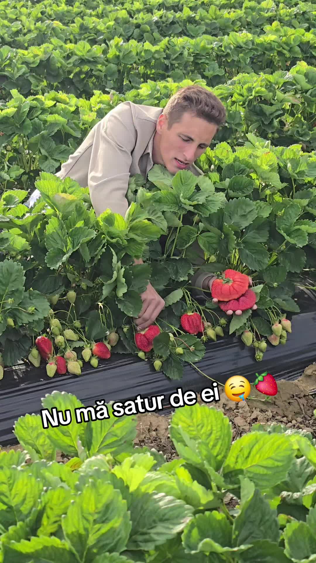 @Faze Farm