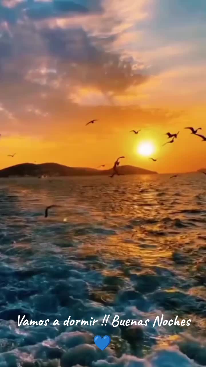 @MeryCat