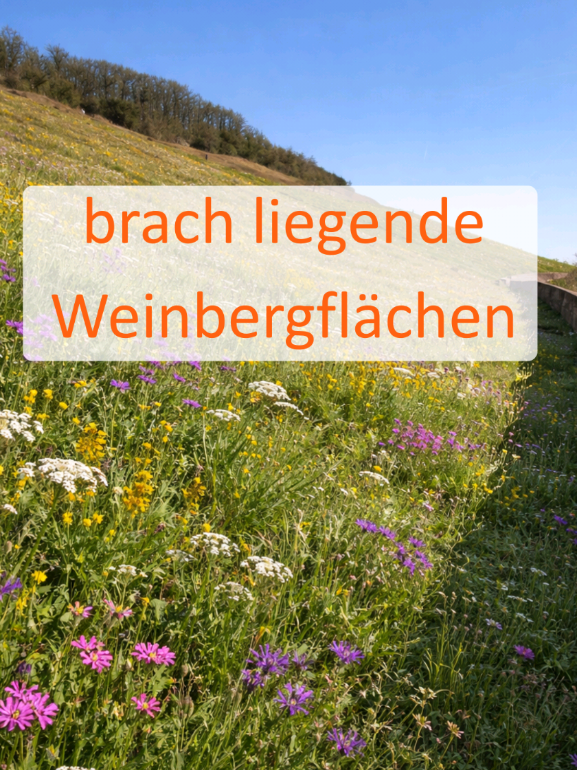 @Landkreis Kitzingen