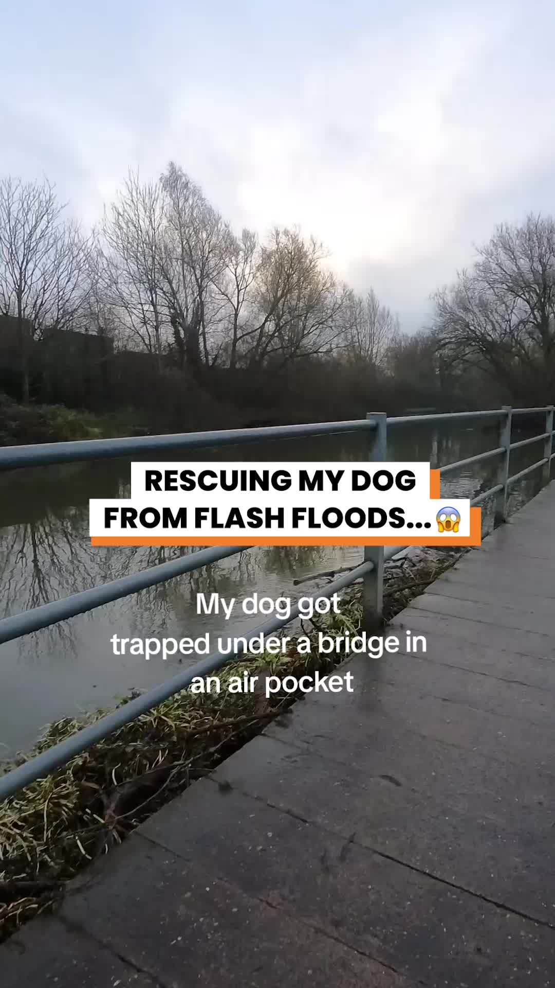 @Go Fetch