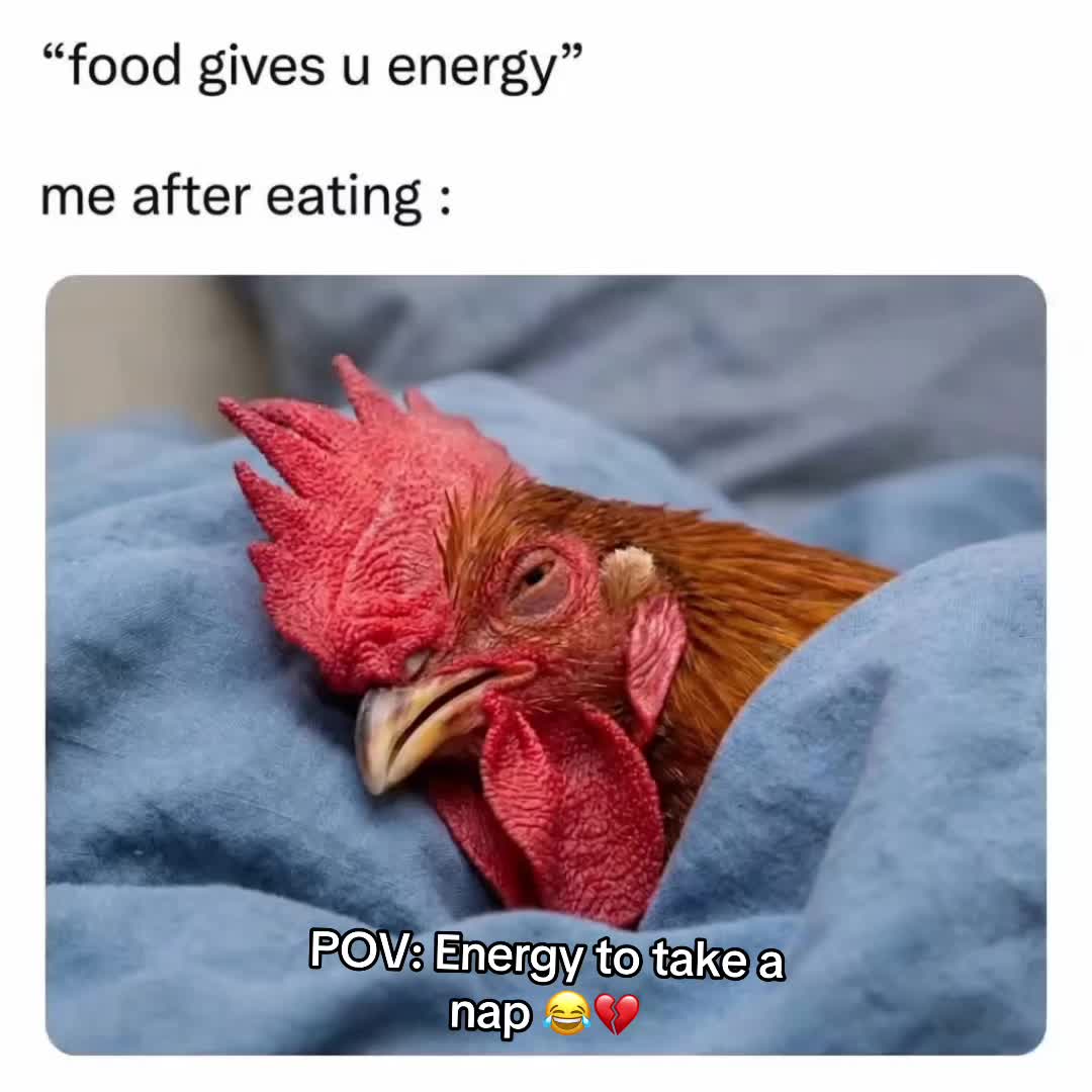 @Gentul Clips | Relatable Memes